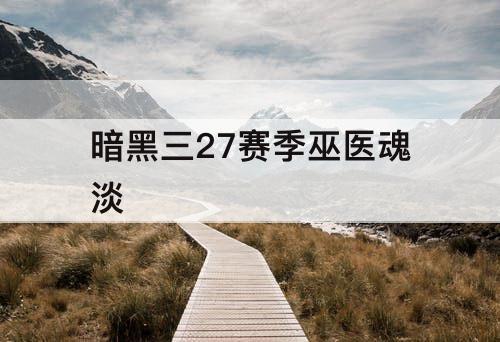 暗黑三27赛季巫医魂淡