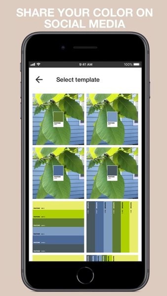pantone connect配色卡截图