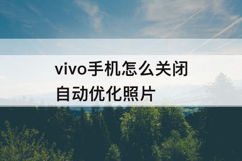 vivo手机怎么关闭自动优化照片