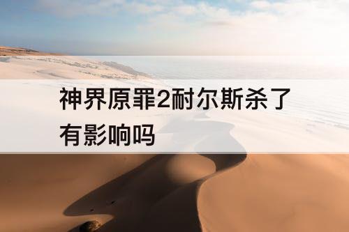 神界原罪2耐尔斯杀了有影响吗