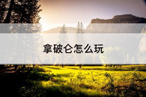 拿破仑怎么玩