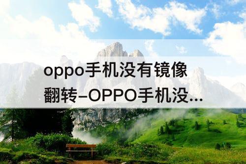 oppo手机没有镜像翻转-OPPO手机没有镜像翻转怎么镜像