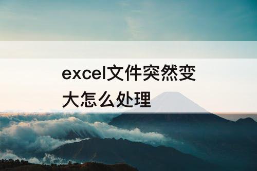 excel文件突然变大怎么处理