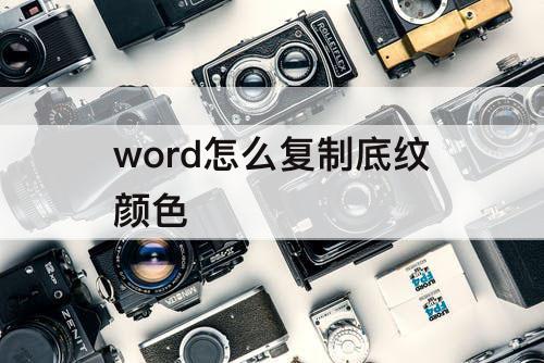 word怎么复制底纹颜色