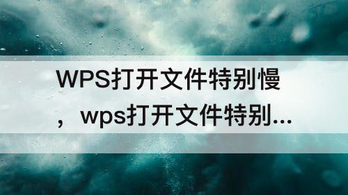 WPS打开文件特别慢，wps打开文件特别慢怎么办