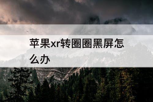 苹果xr转圈圈黑屏怎么办