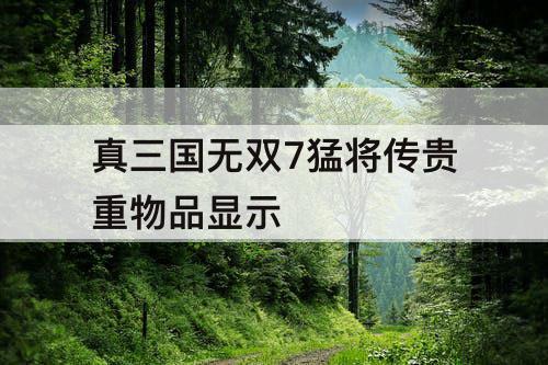 真三国无双7猛将传贵重物品显示