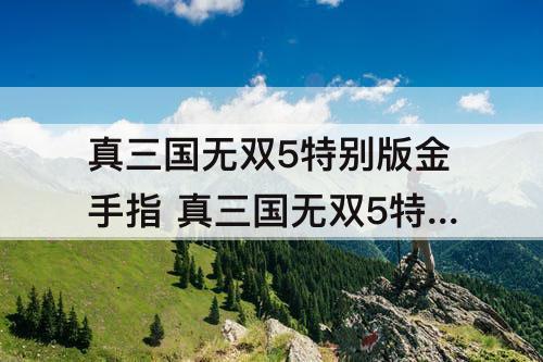 真三国无双5特别版金手指 真三国无双5特别版金手指为什么用不了