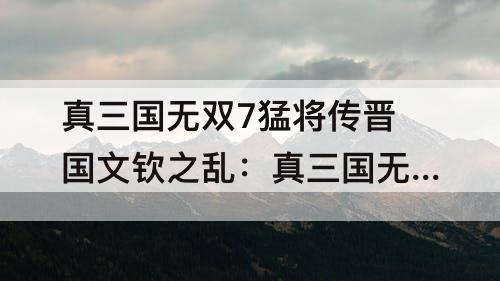 真三国无双7猛将传晋国文钦之乱：真三国无双7猛将传晋国文钦之乱if
