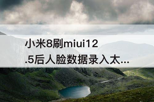 小米8刷miui12.5后人脸数据录入太难了