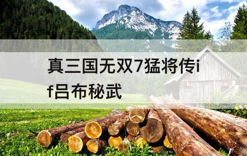 真三国无双7猛将传if吕布秘武
