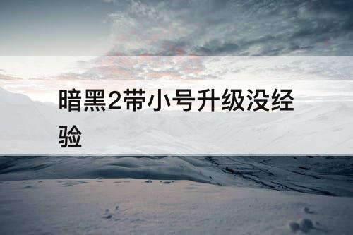 暗黑2带小号升级没经验