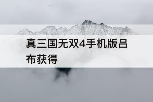 真三国无双4手机版吕布获得