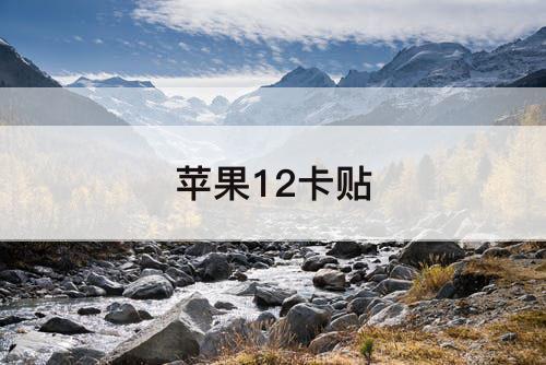 苹果12卡贴