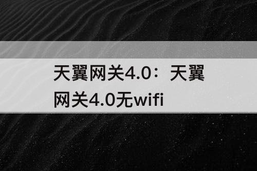 天翼网关4.0：天翼网关4.0无wifi