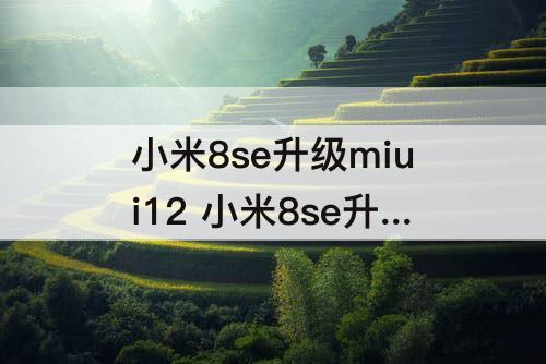 小米8se升级miui12 小米8se升级miui12怎么样
