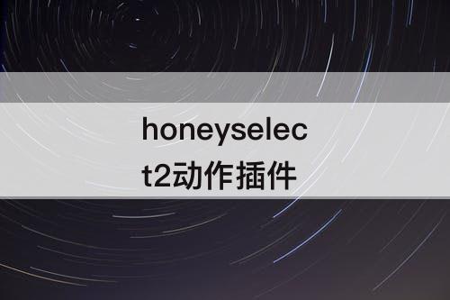 honeyselect2动作插件