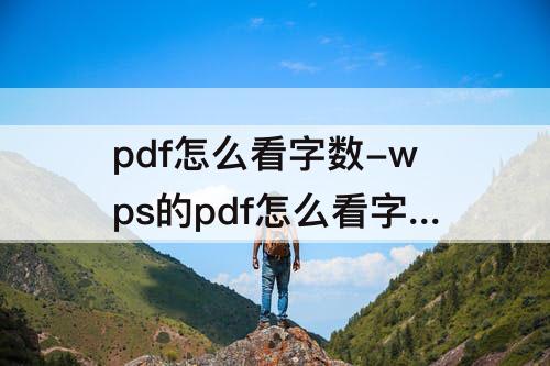 pdf怎么看字数-wps的pdf怎么看字数