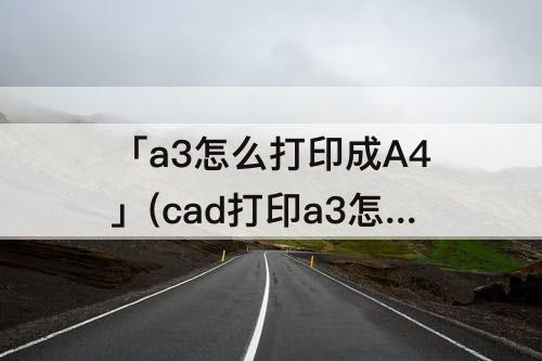 「a3怎么打印成A4」(cad打印a3怎么打印成a4)