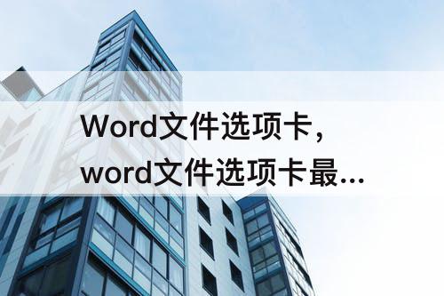 Word文件选项卡，word文件选项卡最近所用文件中列出的是