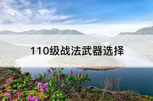 110级战法武器选择