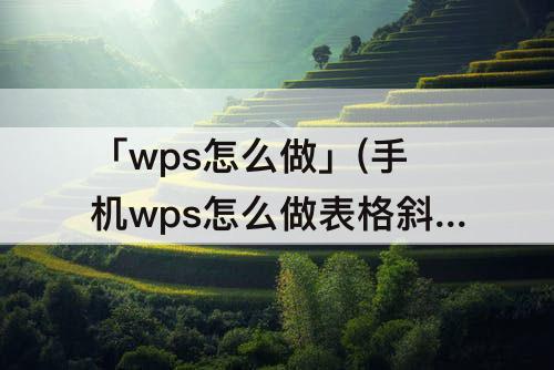 「wps怎么做」(手机wps怎么做表格斜线)