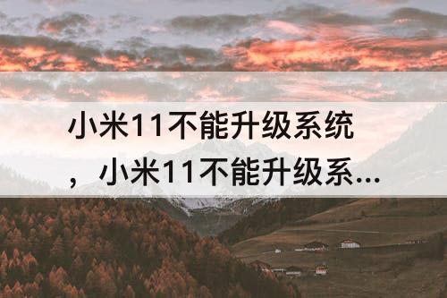 小米11不能升级系统，小米11不能升级系统能买吗