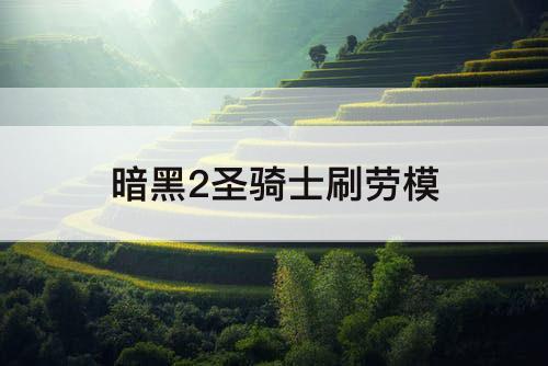 暗黑2圣骑士刷劳模