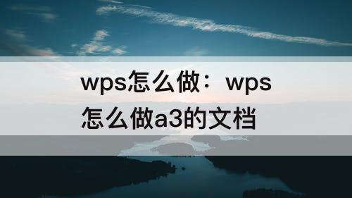wps怎么做：wps怎么做a3的文档