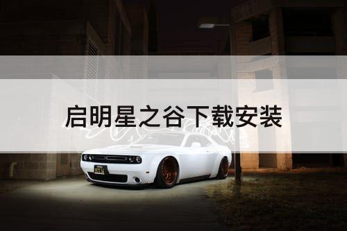 启明星之谷下载安装