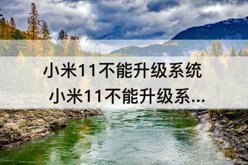 小米11不能升级系统 小米11不能升级系统有什么影响