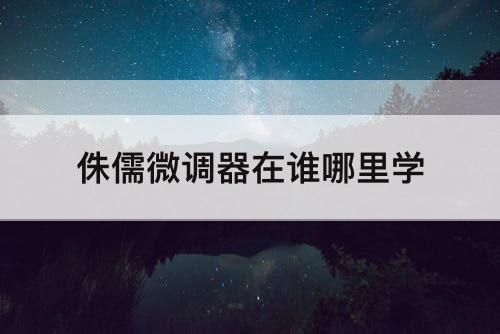 侏儒微调器在谁哪里学