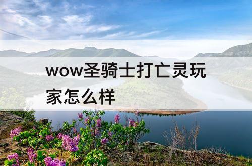 wow圣骑士打亡灵玩家怎么样