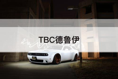 TBC德鲁伊