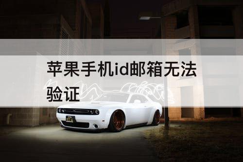 苹果手机id邮箱无法验证