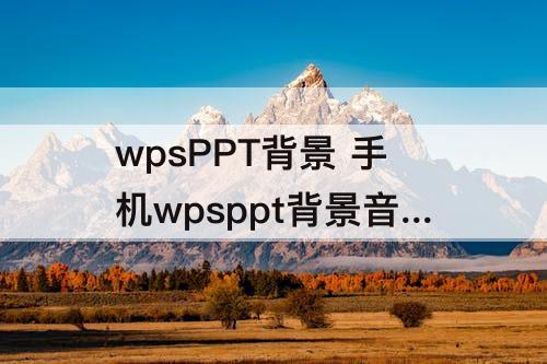 wpsPPT背景 手机wpsppt背景音乐怎么设置在某一页停止