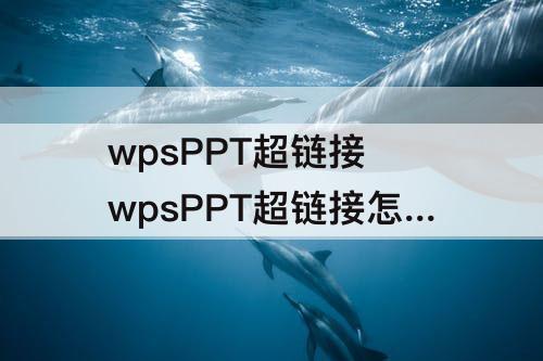 wpsPPT超链接 wpsPPT超链接怎么做?