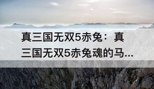 真三国无双5赤兔：真三国无双5赤兔魂的马样子
