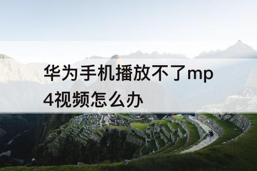 华为手机播放不了mp4视频怎么办