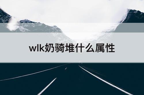 wlk奶骑堆什么属性