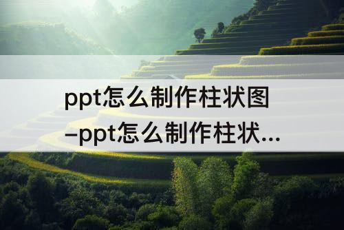 ppt怎么制作柱状图-ppt怎么制作柱状图表