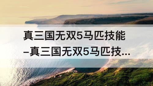 真三国无双5马匹技能-真三国无双5马匹技能搭配