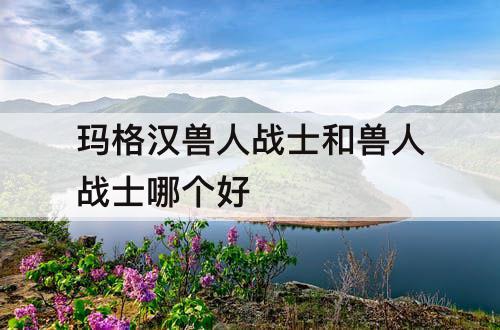 玛格汉兽人战士和兽人战士哪个好