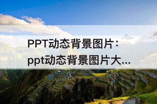 PPT动态背景图片：ppt动态背景图片大全花瓣