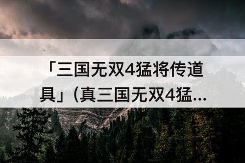 「三国无双4猛将传道具」(真三国无双4猛将传道具武器攻略详解)