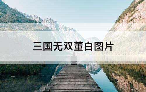 三国无双董白图片