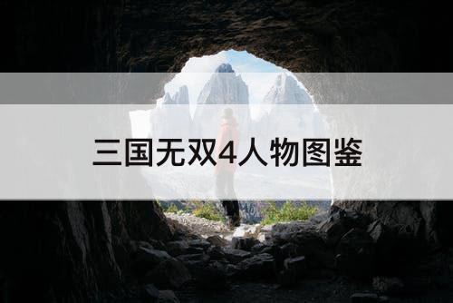 三国无双4人物图鉴