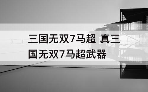 三国无双7马超 真三国无双7马超武器