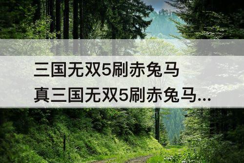 三国无双5刷赤兔马 真三国无双5刷赤兔马要多久