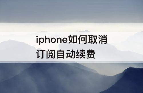 iphone如何取消订阅自动续费
